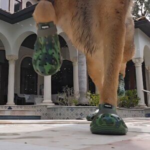 WagWear Wagwellies Dog Boots XXL VIDEO